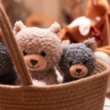 Duo Romy - Small