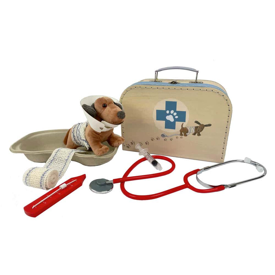 Valigetta veterinaria