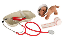 Valigetta veterinaria