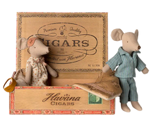 Mamma & Papà Topi in scatola di sigari