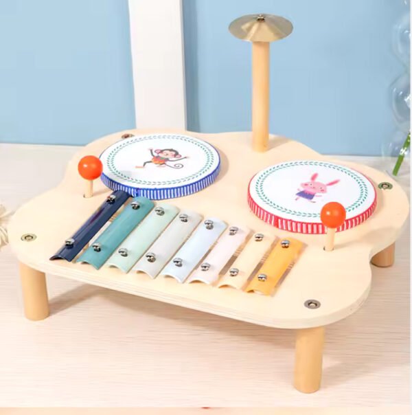 Design Assembly Educational Wood Percussion Instruments