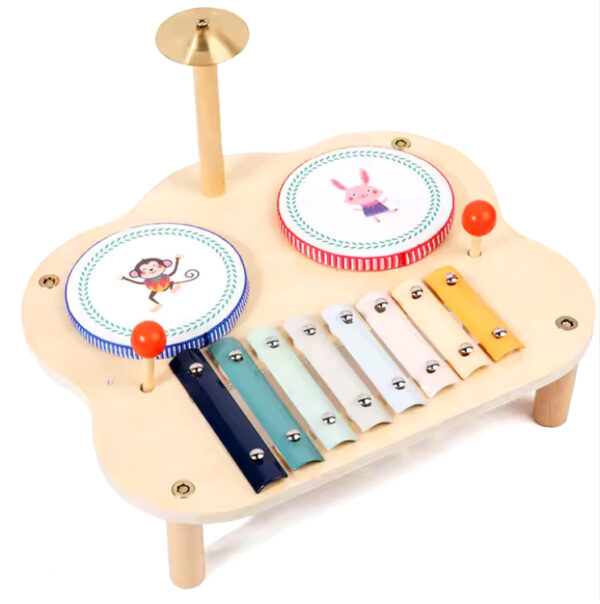 Design Assembly Educational Wood Percussion Instruments